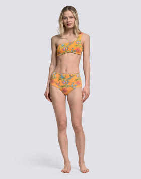 IPANEMA - SLIP CULOTTE A VITA ALTA STAMPA SWEET PARROT