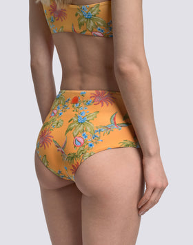 IPANEMA - SLIP CULOTTE A VITA ALTA STAMPA SWEET PARROT