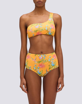 IPANEMA- SLIP CULOTTE A VITA ALTA STAMPA SWEET PARROT