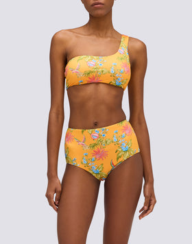 IPANEMA- SLIP CULOTTE A VITA ALTA STAMPA SWEET PARROT